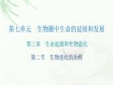 人教版八年级生物下册第二节生物进化的历程课后作业课件
