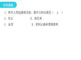 人教版八年级生物下册第二节生物进化的历程课后作业课件
