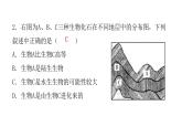 人教版八年级生物下册第二节生物进化的历程课后作业课件