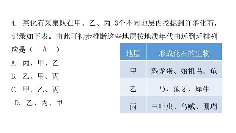 人教版八年级生物下册第二节生物进化的历程课后作业课件07