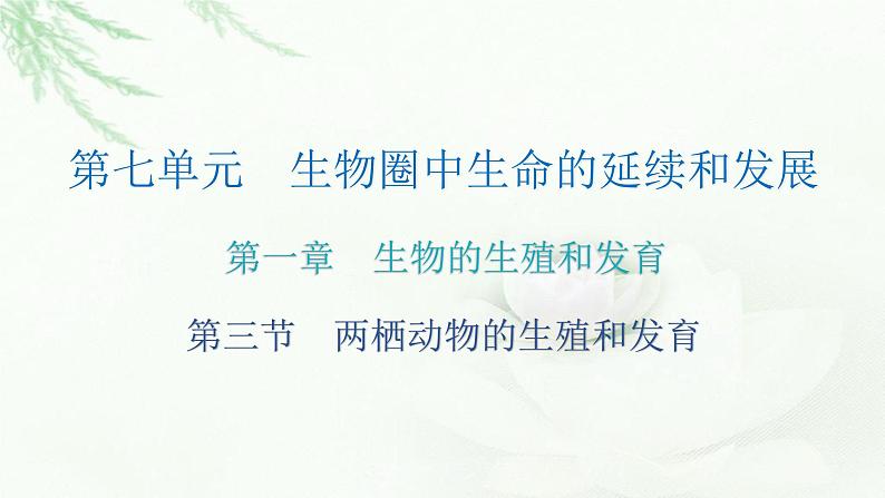 人教版八年级生物下册第三节两栖动物的生殖和发育课后作业课件第2页