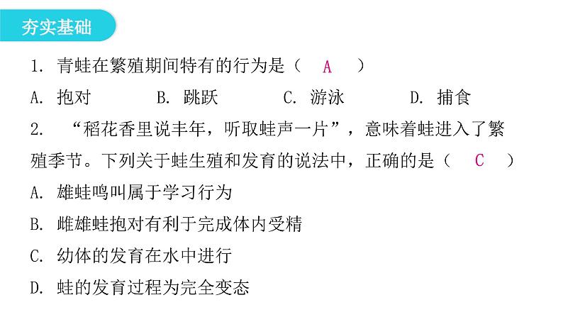 人教版八年级生物下册第三节两栖动物的生殖和发育课后作业课件第4页