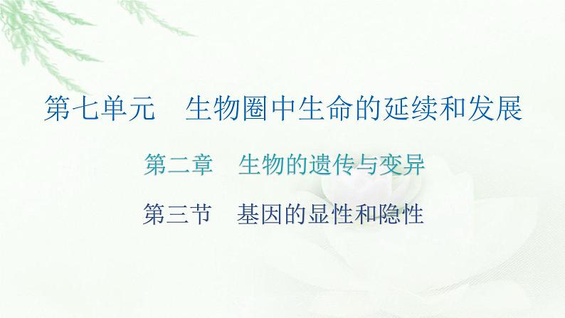 人教版八年级生物下册第三节基因的显性和隐性课后作业课件02