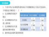 人教版八年级生物下册第三节基因的显性和隐性课后作业课件