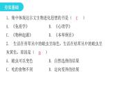 人教版八年级生物下册第三节生物进化的原因课后作业课件