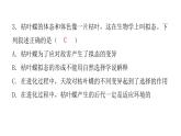 人教版八年级生物下册第三节生物进化的原因课后作业课件