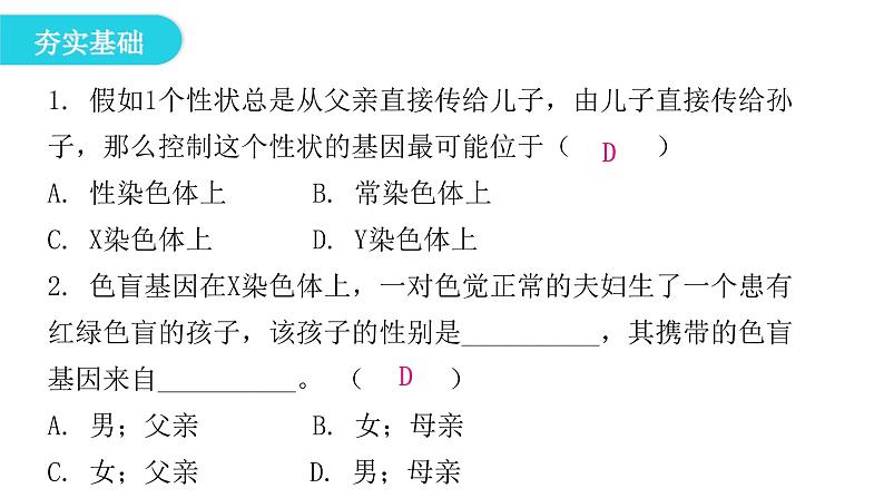 人教版八年级生物下册第四节人的性别遗传课后作业课件04