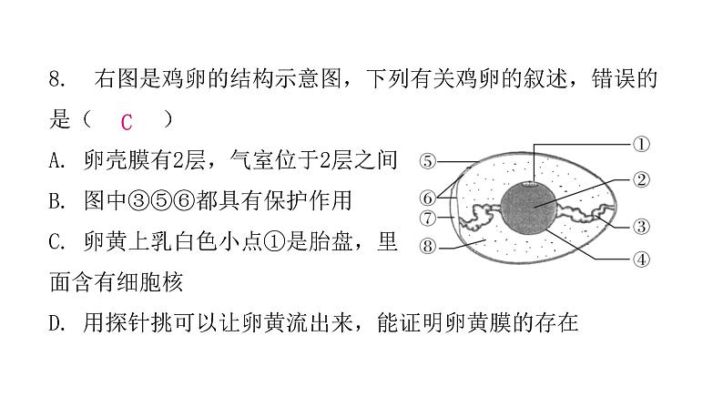 人教版八年级生物下册第四节鸟的生殖和发育课后作业课件第8页