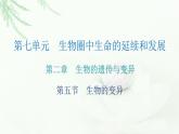 人教版八年级生物下册第五节生物的变异课后作业课件