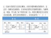人教版八年级生物下册第五节生物的变异课后作业课件