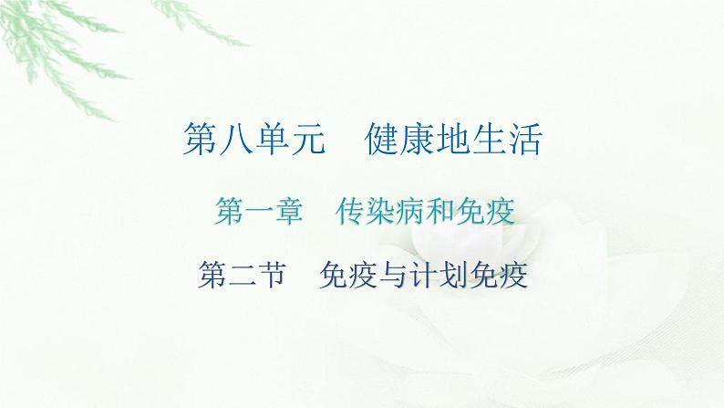 人教版八年级生物下册第二节免疫与计划免疫课后作业课件02