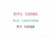 北师大版八年级生物下册第1节生命的起源课件