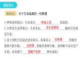北师大版八年级生物下册第1节生命的起源课件