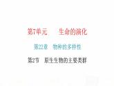 北师大版八年级生物下册第2节原生生物的主要类群课件
