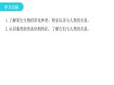 北师大版八年级生物下册第2节原生生物的主要类群课件