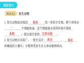 北师大版八年级生物下册第2节原生生物的主要类群课件