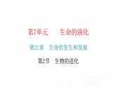 北师大版八年级生物下册第2节生物的进化课件