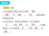 北师大版八年级生物下册第2节生物的进化课件