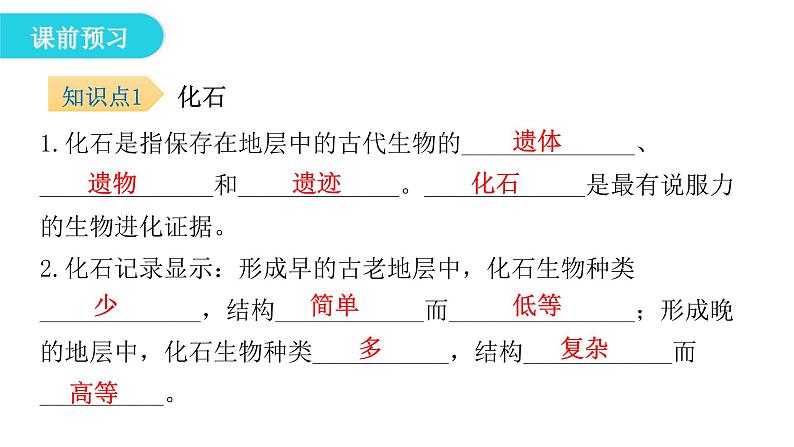 北师大版八年级生物下册第2节生物的进化课件第5页