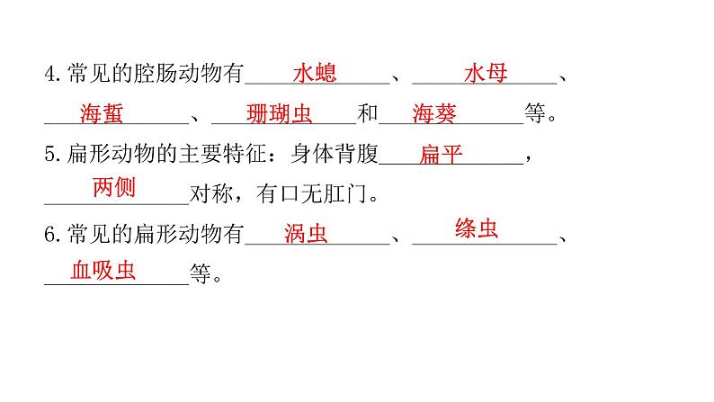 北师大版八年级生物下册第4节动物的主要类群第1课时无脊椎动物课件07