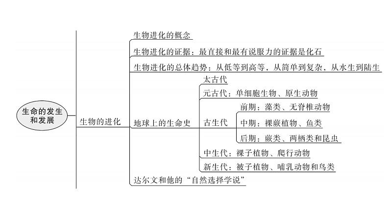 北师大版八年级生物下册第21章章末总结课件05