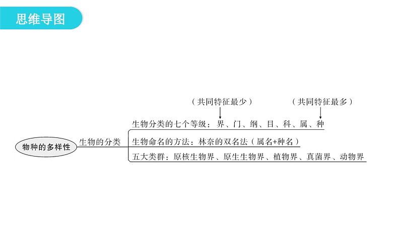 北师大版八年级生物下册第22章章末总结课件第4页