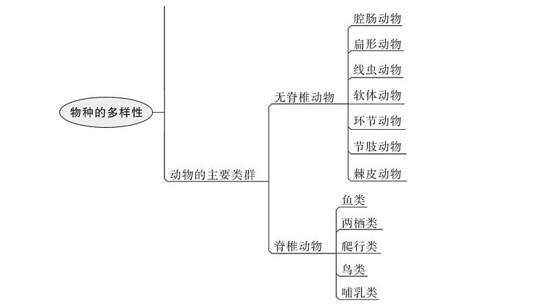 北师大版八年级生物下册第22章章末总结课件第6页