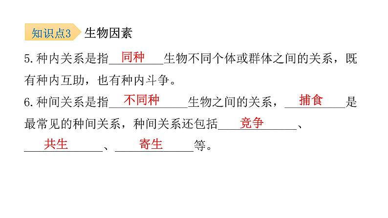 北师大版八年级生物下册第1节生物的生存依赖一定的环境课件07