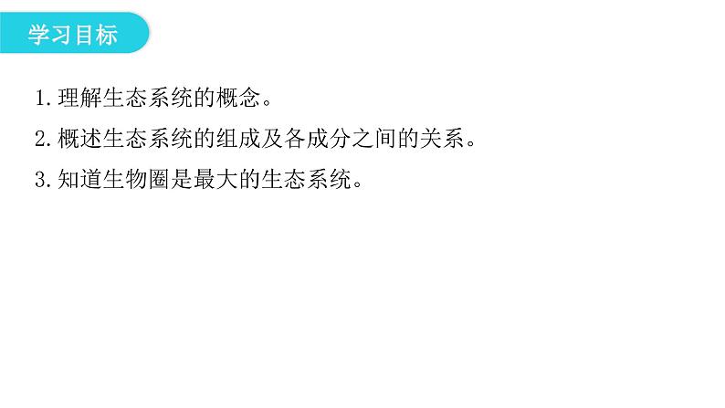 北师大版八年级生物下册第2节生态系统概述课件04