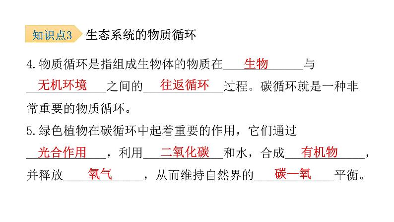 北师大版八年级生物下册第3节生态系统的结构和功能课件第7页