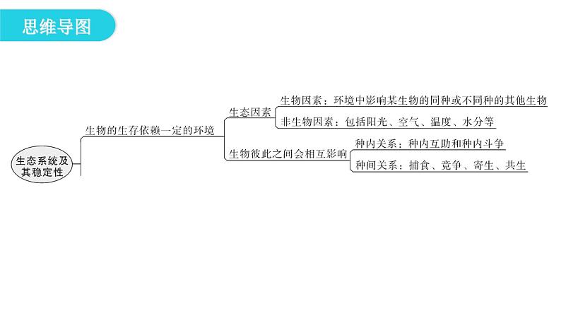 北师大版八年级生物下册第23章 章末总结课件第4页