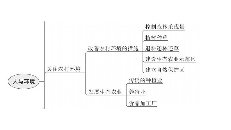 北师大版八年级生物下册第24章章末总结课件05