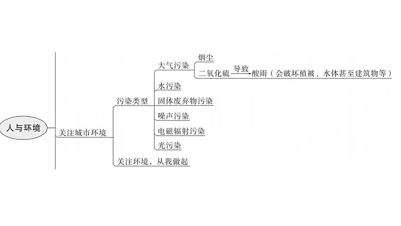 北师大版八年级生物下册第24章章末总结课件06