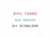 北师大版八年级生物下册第2节原生生物的主要类群课件