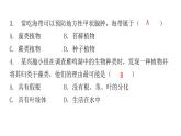 北师大版八年级生物下册第2节原生生物的主要类群课件
