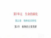 北师大版八年级生物下册第3节植物的主要类群课件