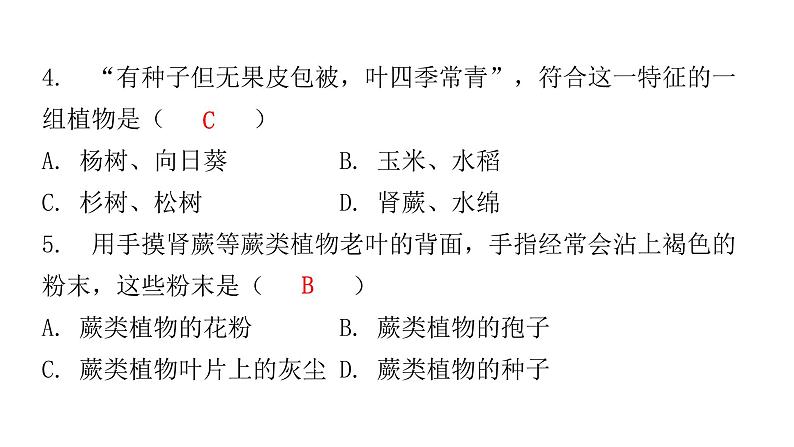 北师大版八年级生物下册第3节植物的主要类群课件05