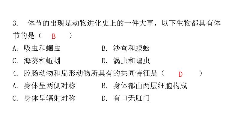 北师大版八年级生物下册第4节动物的主要类群第1课时无脊椎动物课件04