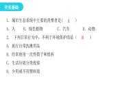 北师大版八年级生物下册第3节关注城市环境课件