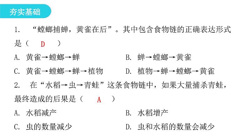 北师大版八年级生物下册第3节生态系统的结构和功能课件第3页