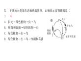 北师大版八年级生物下册第3节生态系统的结构和功能课件