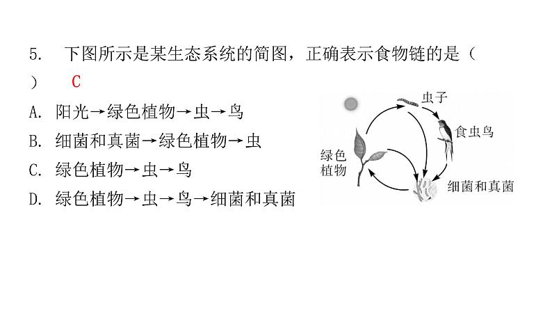 北师大版八年级生物下册第3节生态系统的结构和功能课件第5页