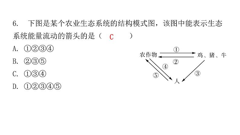 北师大版八年级生物下册第3节生态系统的结构和功能课件第6页