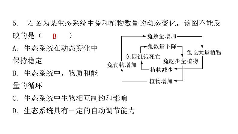 北师大版八年级生物下册第4节生态系统的稳定性课件06