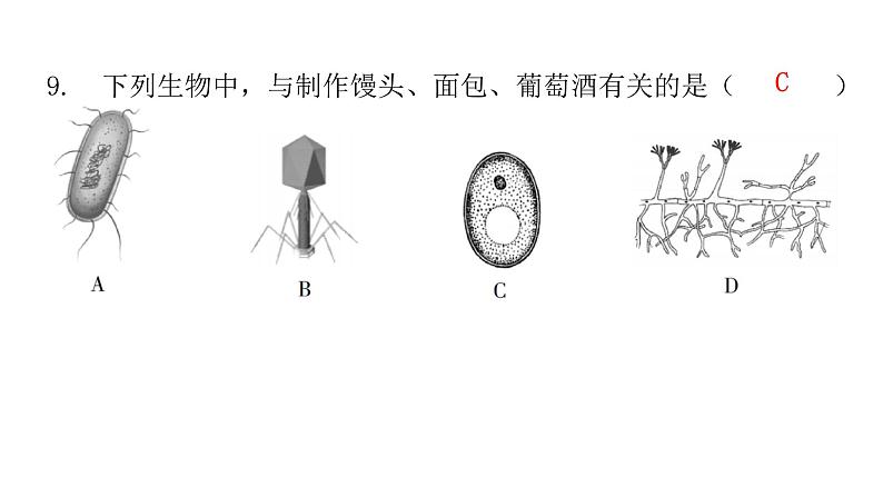 北师大版八年级生物下册第1节发酵技术课件第6页