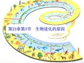 7.3.3 生物进化的原因（课件带教案学案同步作业）2022-2023学年八年级下册生物同步备课系列