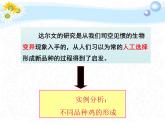 7.3.3 生物进化的原因（课件带教案学案同步作业）2022-2023学年八年级下册生物同步备课系列