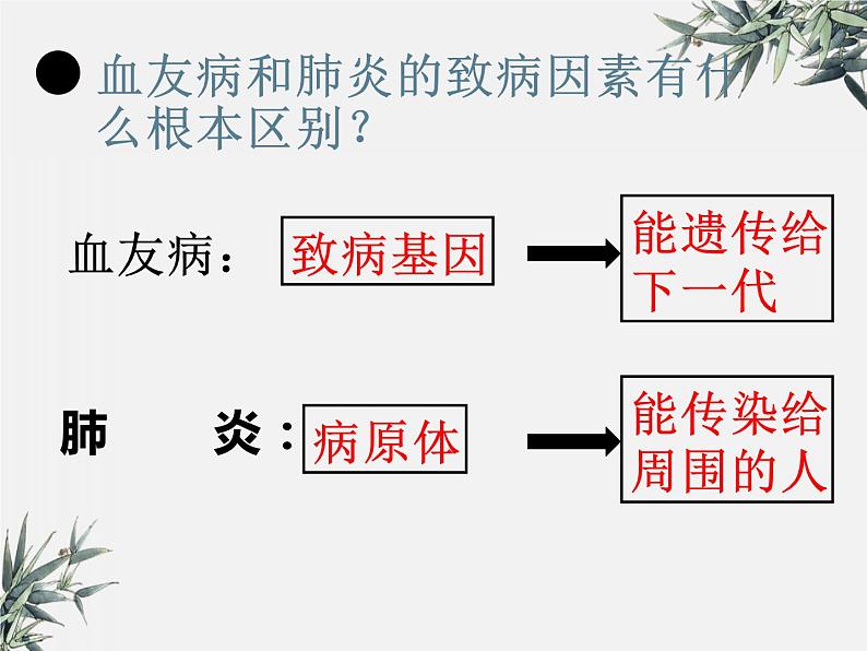 冀少版生物八年级下册  6.2.3遗传病与优生 课件07