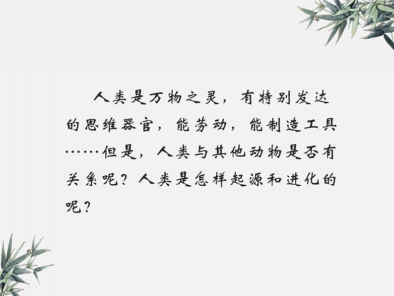 冀少版生物八年级下册  6.3.3人类的起源 课件03