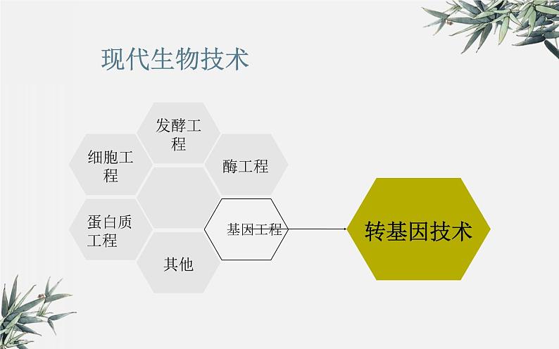 冀少版生物八年级下册  6.4现代生物技术 课件03